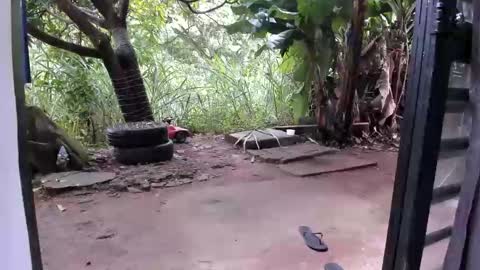 Snapshot of venusandzeus chatting on December 16, 12:54 pm venus ... zeus sheer online show from December 16, 12:54 pm