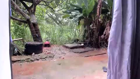 venus ... zeus sheer  online show from January 13, 12:43 pm