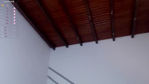 Snapshot of venusevans1 chatting on December 28, 11:26 pm Venus Evans online show from December 28, 11:26 pm