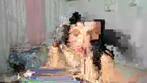 Snapshot of venuswilliamx chatting on November 30, 2:04 am venus online show from November 30, 2:04 am