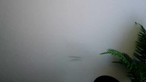 Ana online show from February 5, 9:14 am