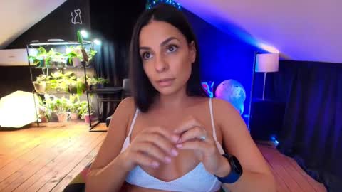 vevelicious online show from November 7, 8:42 pm