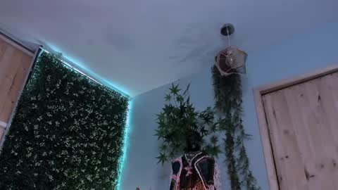 Victoria   online show from April 7, 12:33 am