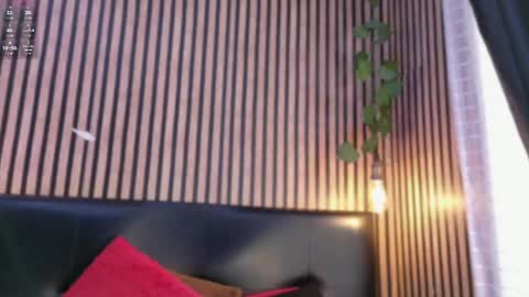 victorira online show from October 21, 7:25 pm