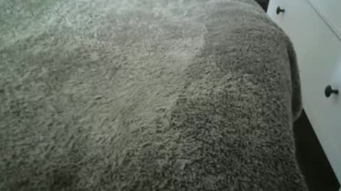 Vidalter online show from November 20, 8:25 am