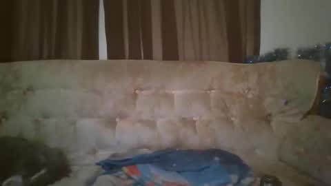 vids1977 online show from October 23, 8:24 am