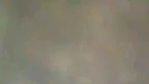 Snapshot of viennaguy79 chatting on March 3, 7:47 am viennaguy79 online show from March 3, 7:47 am