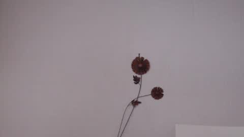 Snapshot of viiolettaaa chatting on June 27, 10:37 pm viiolettaaa online show from June 27, 10:37 pm