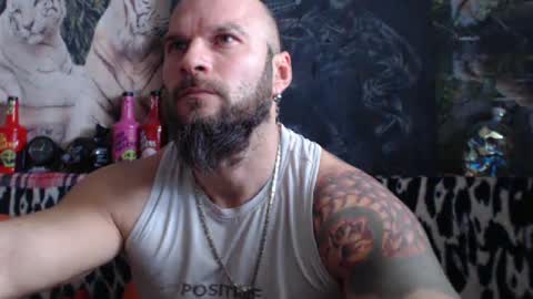 Snapshot of viking_me chatting on December 31, 10:04 am viking online show from December 31, 10:04 am