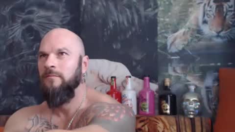 Snapshot of viking_me chatting on November 4, 8:02 am viking online show from November 4, 8:02 am