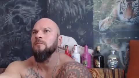 Snapshot of viking_me chatting on November 5, 8:14 am viking online show from November 5, 8:14 am