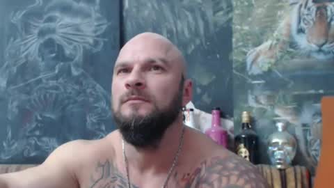 Snapshot of viking_me chatting on November 8, 7:56 pm viking online show from November 8, 7:56 pm