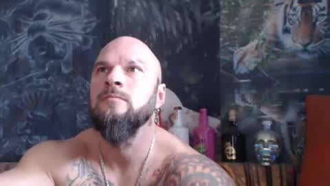 Snapshot of viking_me chatting on November 11, 8:14 am viking online show from November 11, 8:14 am