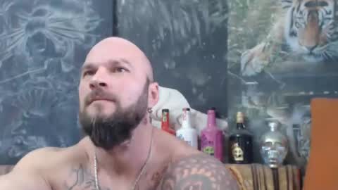 Snapshot of viking_me chatting on November 16, 7:36 am viking online show from November 16, 7:36 am