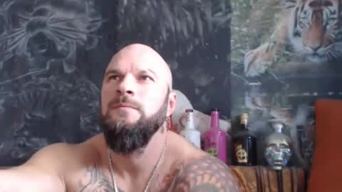 Snapshot of viking_me chatting on November 18, 7:46 am viking online show from November 18, 7:46 am