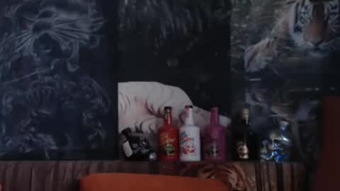 Snapshot of viking_me chatting on December 14, 8:41 am viking online show from December 14, 8:41 am