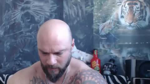 viking online show from April 12, 6:07 am