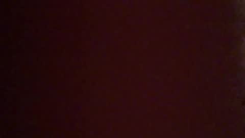 Snapshot of vilnus0 chatting on January 15, 12:15 am vilnus0 online show from January 15, 12:15 am