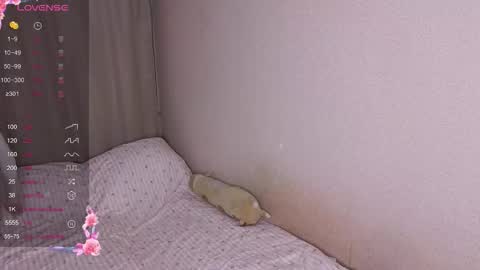 vitterrick online show from November 25, 4:07 pm