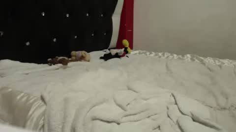 melissa online show from October 24, 5:04 am