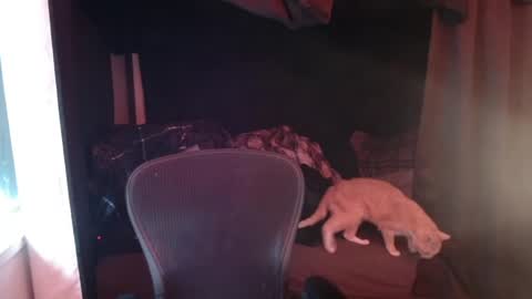 Snapshot of voidcatdaddy chatting on April 27, 6:06 pm Rev online show from April 27, 6:06 pm