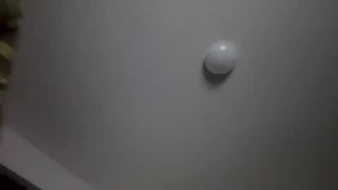 w1llfull_disobediance online show from September 18, 9:00 am