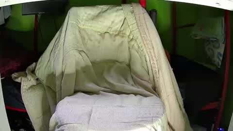 Snapshot of walltazv chatting on November 12, 5:30 am Kentaro online show from November 12, 5:30 am