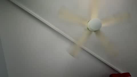 wan2cum4you online show from February 1, 1:02 am