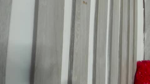 Snapshot of wandaloov chatting on October 11, 4:33 am wanda online show from October 11, 4:33 am