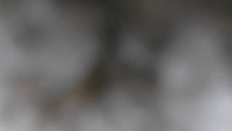 Snapshot of wantmymantofukme chatting on October 21, 6:19 pm wantmymantofukme online show from October 21, 6:19 pm