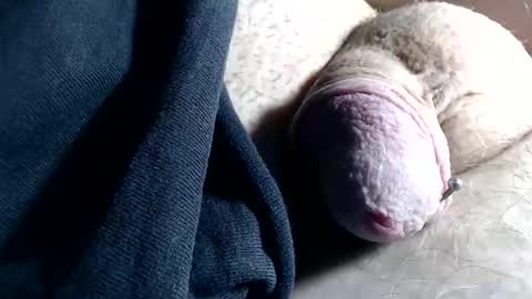 wants online show from November 6, 2:40 pm