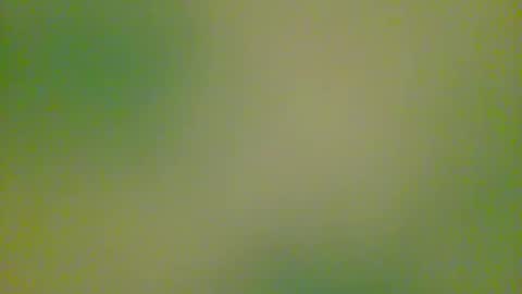 Snapshot of watchplaycum chatting on October 8, 11:24 pm watchplaycum online show from October 8, 11:24 pm