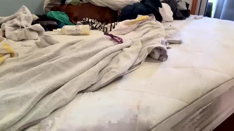 watershed111111 online show from February 26, 6:40 pm