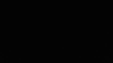 Trixie 3 online show from April 4, 1:30 pm