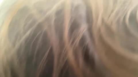 Snapshot of weedwacker43 chatting on March 1, 3:25 pm weedwacker43 online show from March 1, 3:25 pm