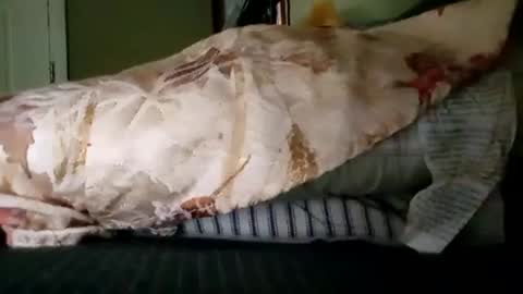 Snapshot of welldny chatting on October 19, 6:08 pm welldny online show from October 19, 6:08 pm