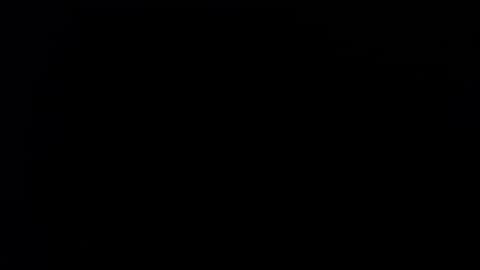 wellingtont online show from September 21, 4:36 am