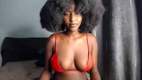 Macey online show from November 11, 6:57 am