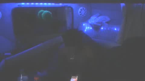 wetdreamz101 online show from January 19, 8:51 am