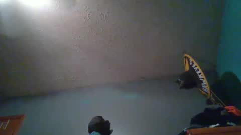 Snapshot of wetduck77777 chatting on October 5, 8:01 am wetduck77777 online show from October 5, 8:01 am