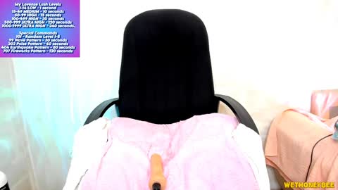 Snapshot of wethoneybee chatting on February 5, 1:47 am Mina online show from February 5, 1:47 am