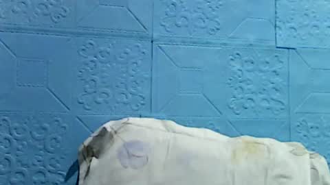wettyhottie69 online show from July 1, 10:31 pm