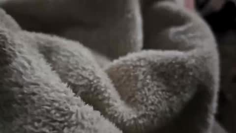 Snapshot of what_whaaat chatting on November 2, 9:11 am what_whaaat online show from November 2, 9:11 am