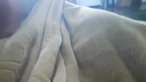 Snapshot of what_whaaat chatting on November 3, 9:16 pm what_whaaat online show from November 3, 9:16 pm