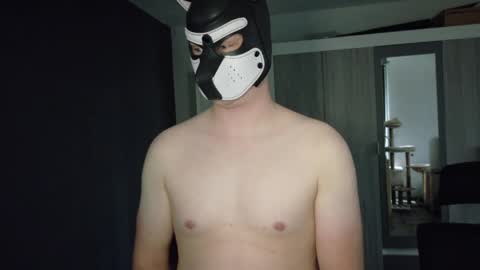 Snapshot of white_pup chatting on May 4, 4:58 pm white_pup online show from May 4, 4:58 pm