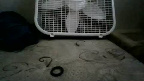 Snapshot of whiteexcalibur808 chatting on May 13, 7:11 pm whiteexcalibur808 online show from May 13, 7:11 pm