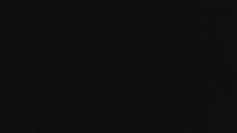 whitehead_lion online show from November 6, 11:59 pm