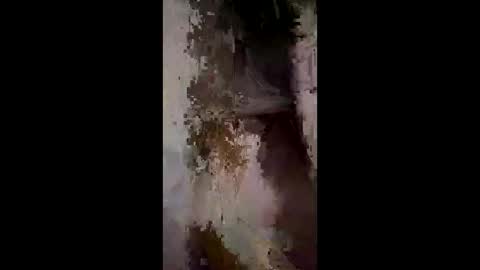 Snapshot of whitelava_4u chatting on December 2, 3:01 am whitelava_4u online show from December 2, 3:01 am