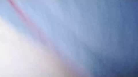 Whitezilla20cm online show from December 6, 11:33 am