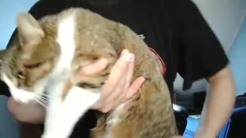 Tommy online show from December 30, 10:21 am